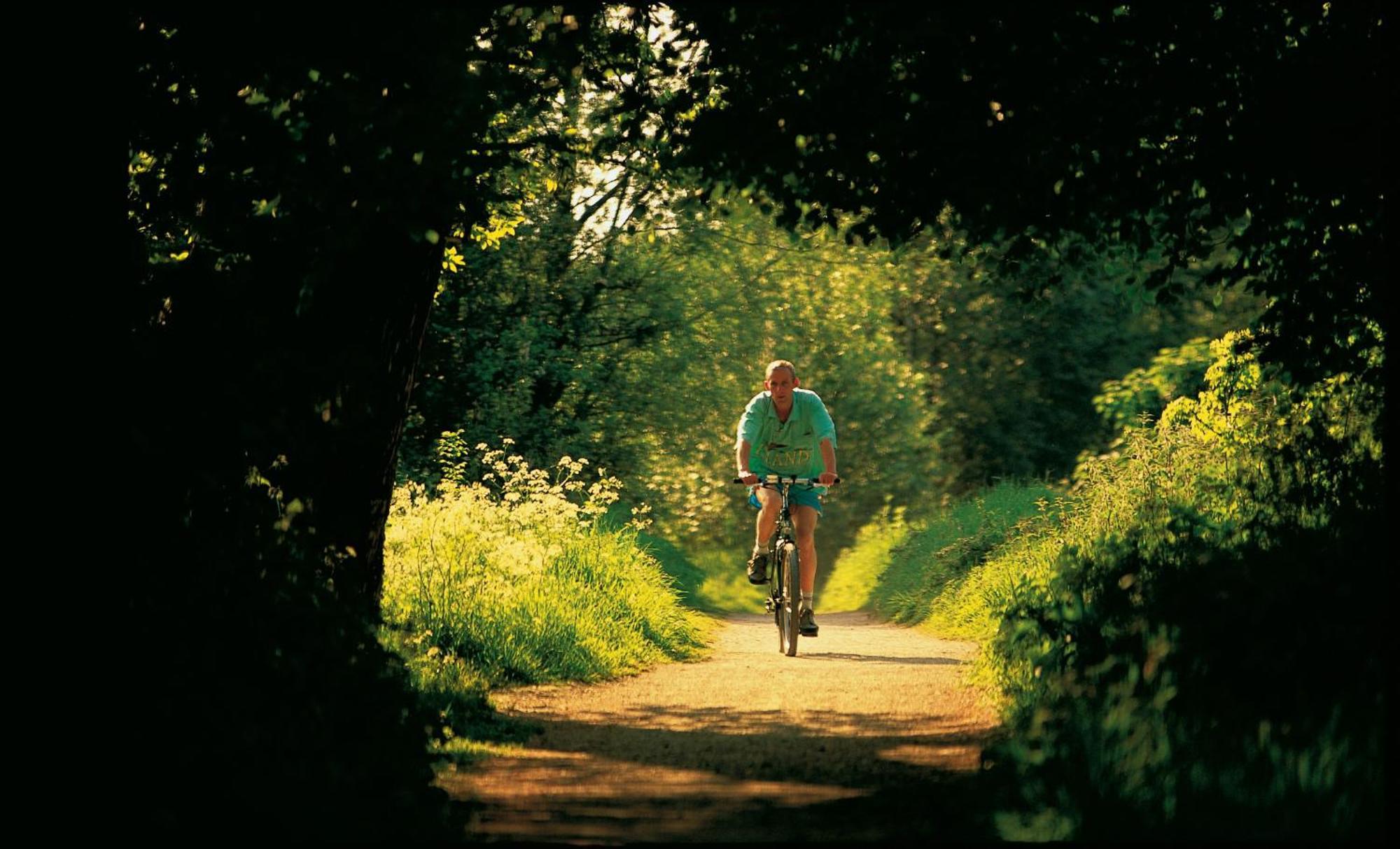 Dromroe Village University Of Limerick Junction Exteriér fotografie